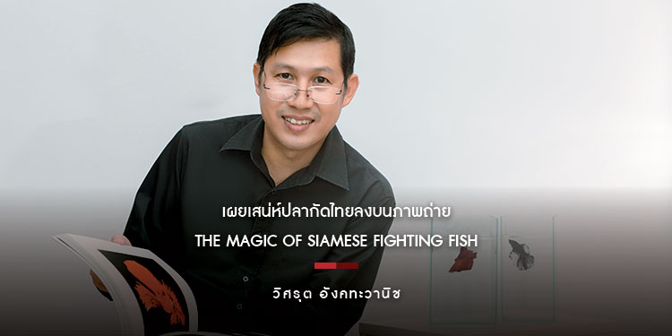 The Magic of Siamese Fighting fish | เผยเสน่ห์ปลากัดไทยลงบนภาพถ่าย
