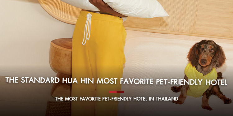 The Standard, Hua Hin Most Favorite Pet-Friendly Hotel : MiX Magazine ...