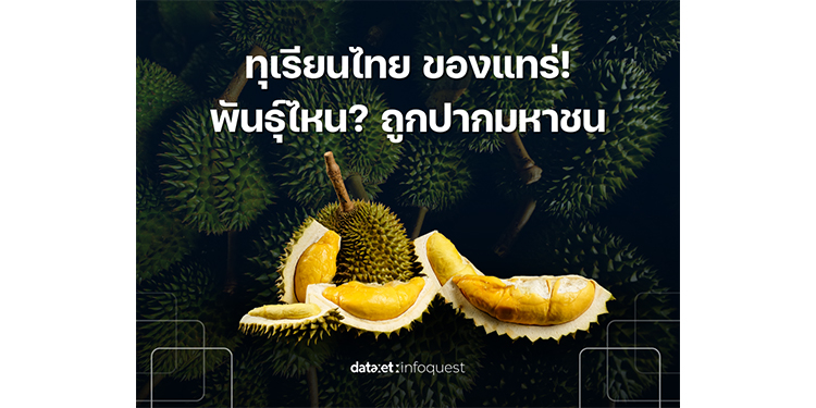 ทุเรียนไทย ของแทร่! พันธุ์ไหน? ถูกปากมหาชน