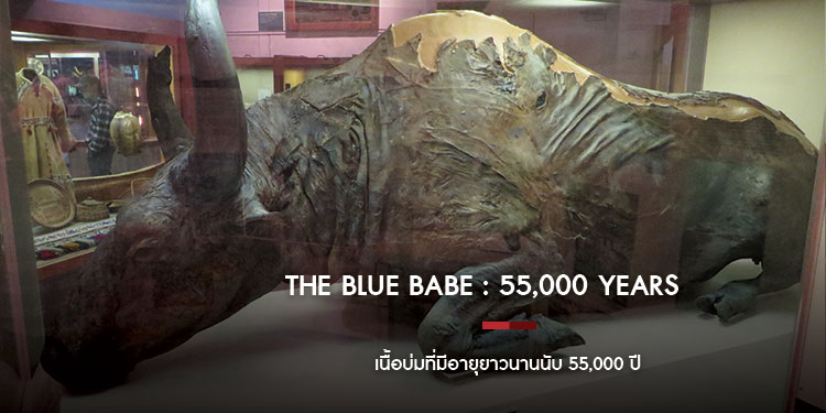 The Blue Babe : 55,000 Years Dry-Aged Fossil เนื้อบ่มที่มีอายุยาวนานนับ 55,000 ปี