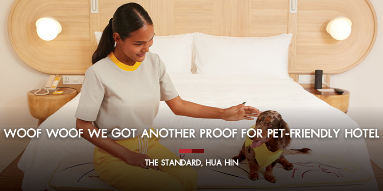  Woof Woof we got another proof for Pet-Friendly Hotel