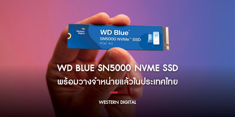 WD Blue SN5000 NVMe SSD พร้อมวางจำหน่ายแล้วในประเทศไทย เวสเทิร์น ดิจิตอล แตกไลน์ผลิตภัณฑ์กลุ่ม WD Blue ส่งไดรฟ์ NVMe SSD สำหรับคอนเทนต์ครีเอเตอร์