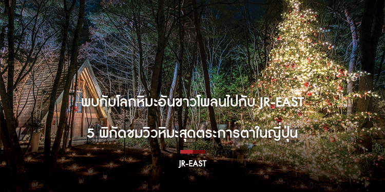 พบกับโลกหิมะอันขาวโพลนไปกับ JR-EAST 5 พิกัดชมวิวหิมะสุดตระการตาในญี่ปุ่น