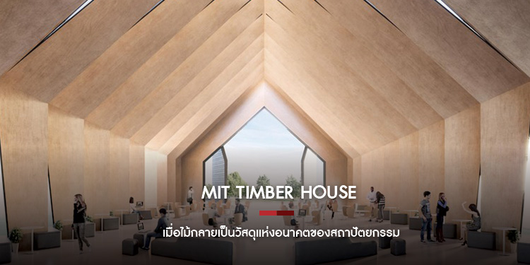 MIT Timber House : เมื่อไม้กลายเป็นวัสดุแห่งอนาคตของสถาปัตยกรรม 
