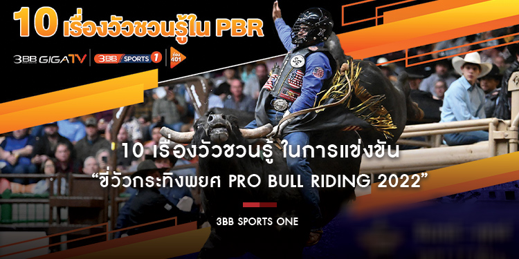 10 เรื่องวัวชวนรู้ ในการแข่งขัน “ขี่วัวกระทิงพยศ Pro Bull Riding 2022”