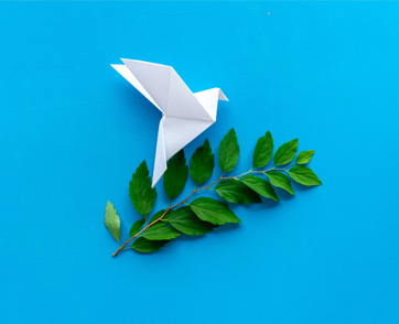 Live For Peace เสียงเพรียกแห่งสันติภาพ