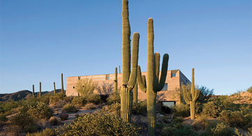 Desert Courtyard